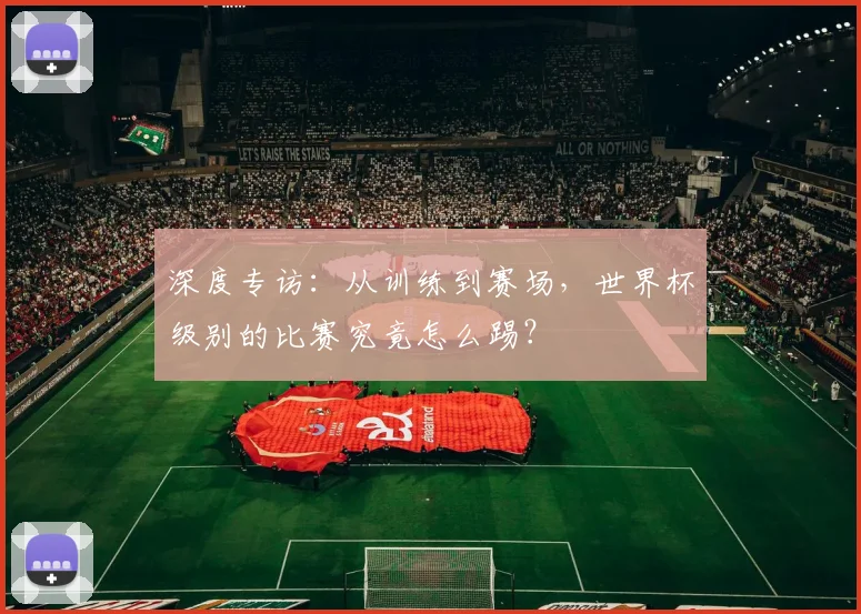 深度专访：从训练到赛场，世界杯级别的比赛究竟怎么踢？